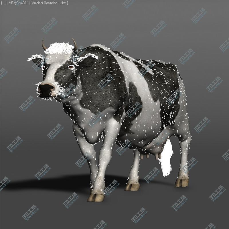 images/goods_img/202104091/Cow - realistic - rigged and animated/2.jpg